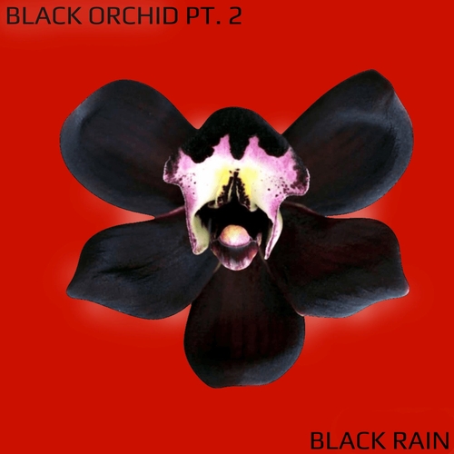 Black Rain - Black Orchid Pt. 2 [ROBA012]